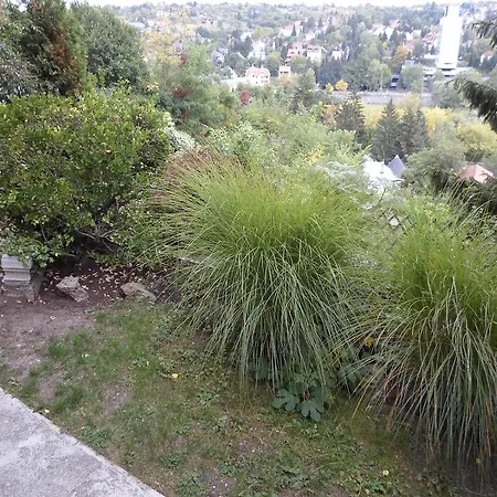 Casa de hóspedes Panoráma
