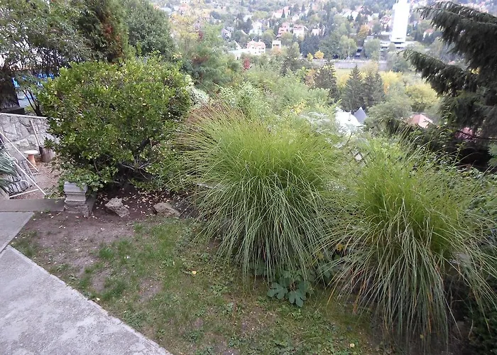 Gæstehus Panorama Szallas